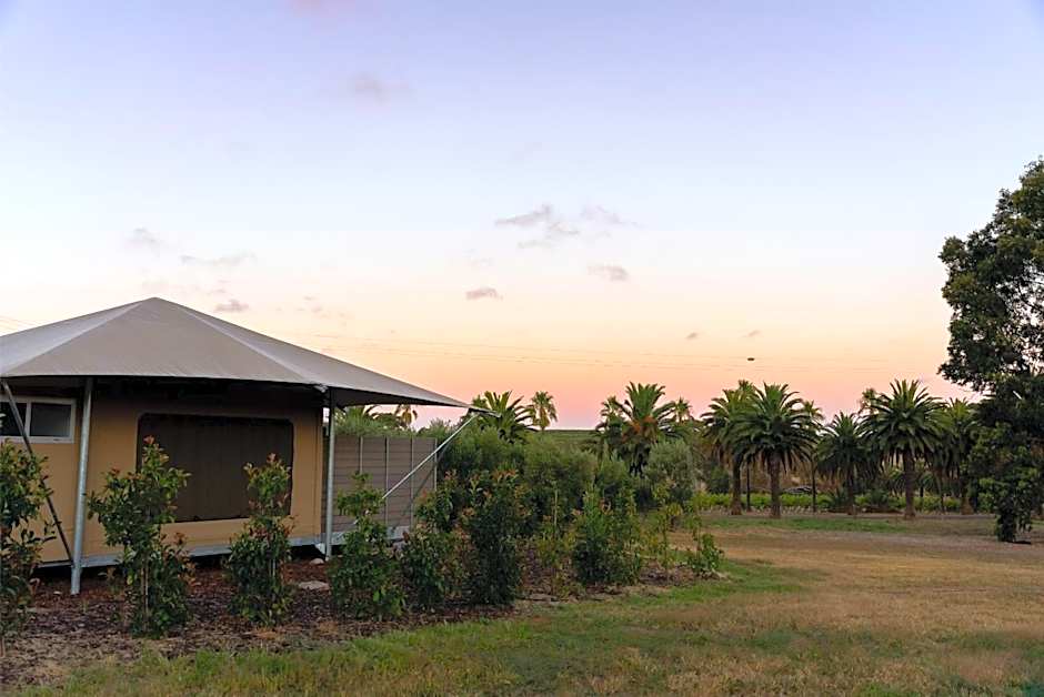 CANVS by CABN Seppeltsfield Barossa
