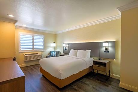 Standard Queen Room - Non Smoking