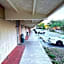 Campus Inn by Hotel O Gainesville - University Area