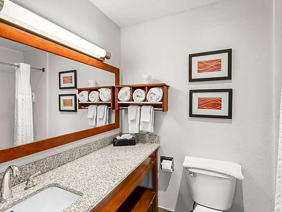 Comfort Inn & Suites Bellevue