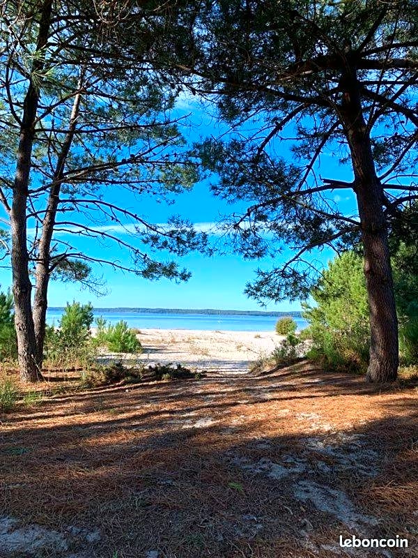 Hacienda de la Canopée avec piscine chauffée au sel