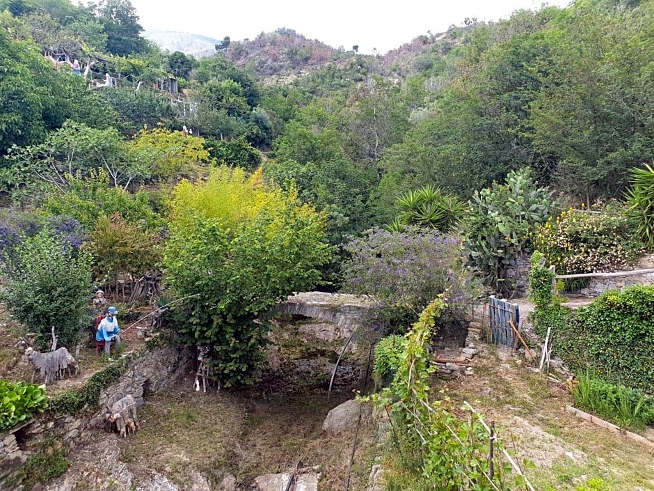 Bed & Breakfast Ca' di Vissai