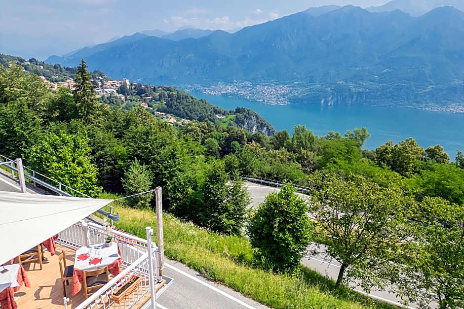 PET FRIENDLY HOTEL MIRABEAU
