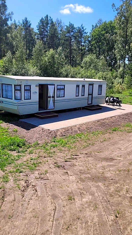 Dvēseles veldzes dārzs