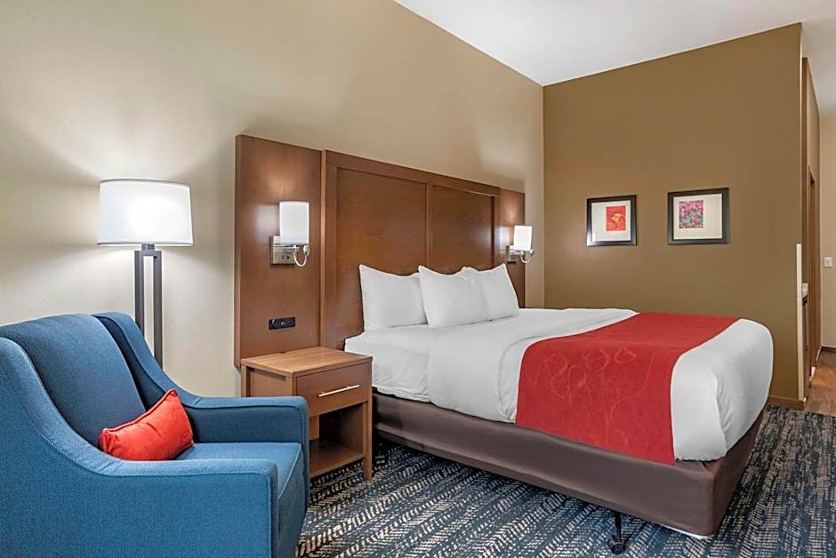 Comfort Inn & Suites Downtown near University