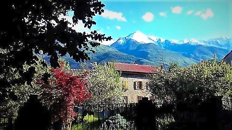 Il Giardino dei Merli