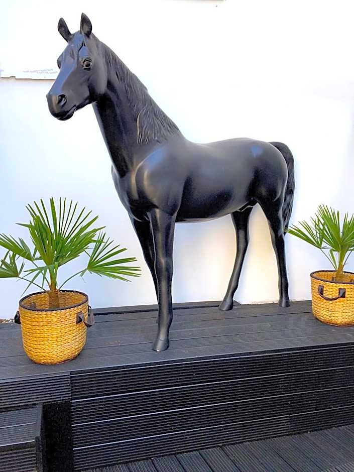 Business Wieland Hotel