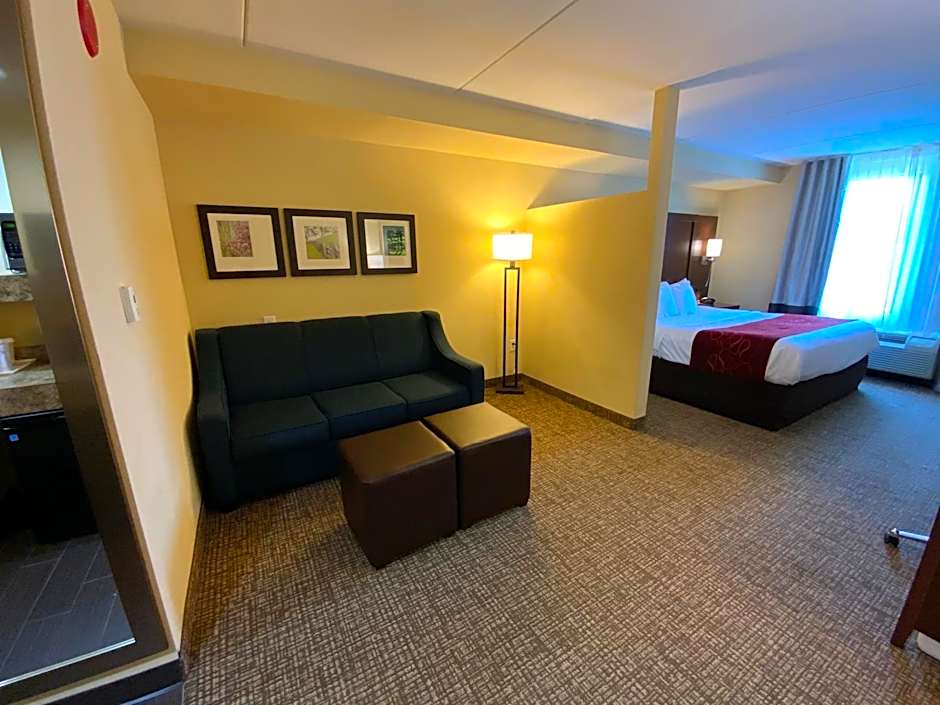 Comfort Suites Fredericksburg