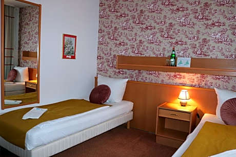 Single Room with Mountain View (dogs not allowed)