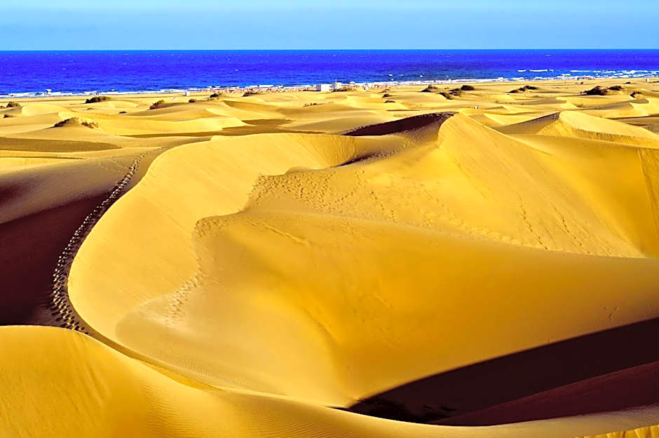 Twenty Seven Degrees Las Palmas