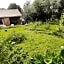 Het Bijenweitje - The Little Bee Meadow