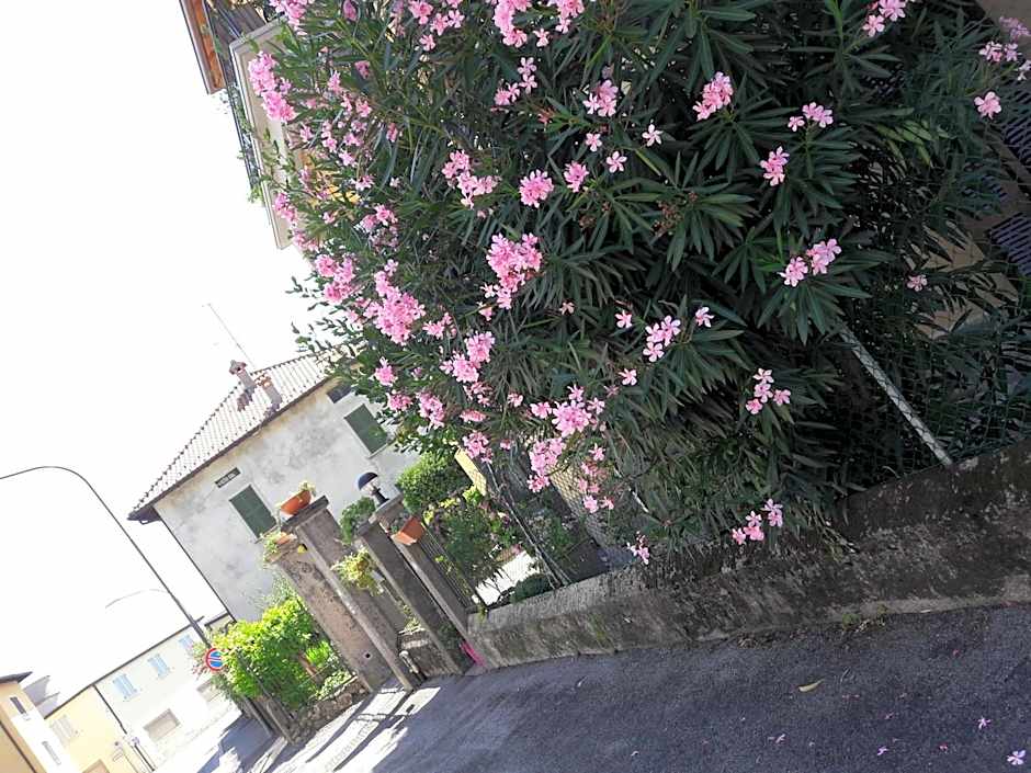 Affittacamere Erbagatta