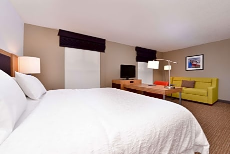 1 King Bed Nonsmoking