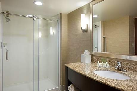 1 King Bed Suite