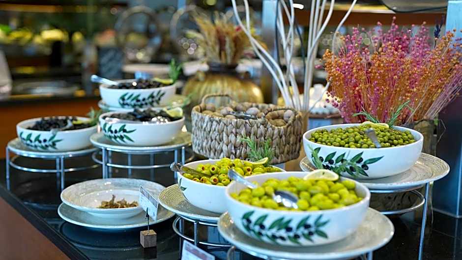 Dedeman Bostanci Istanbul Hotel & Convention Center