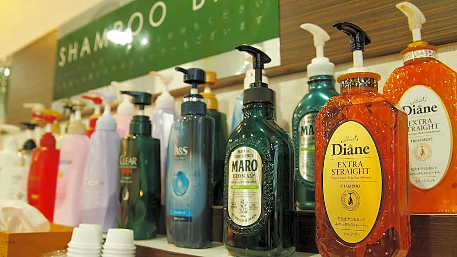 Kumamoto Green Hotel