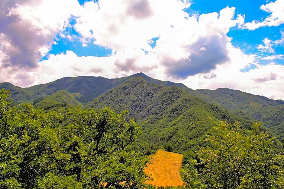 Il Palazzo Ridracoli