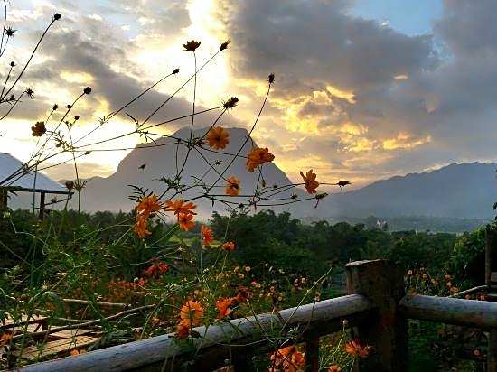 Baan AingDoi Homestay