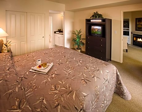 1 Bedroom Condo