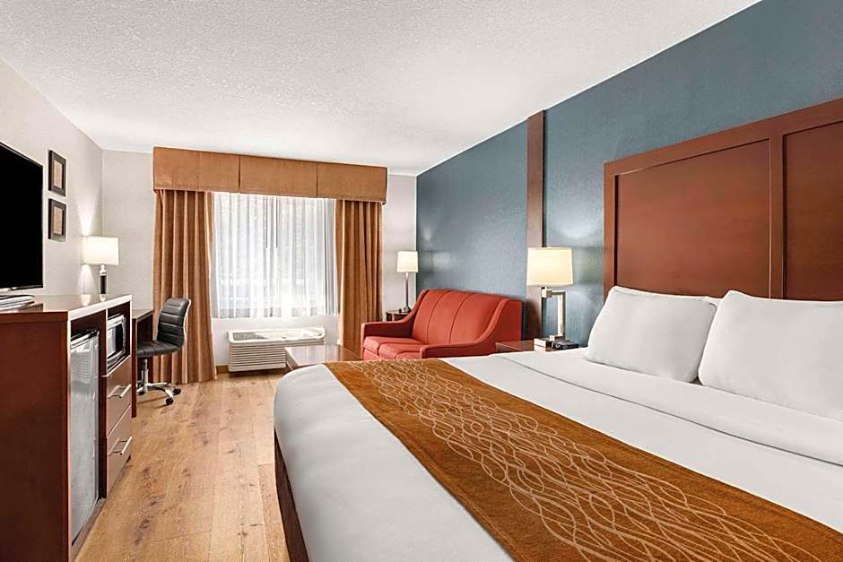 Comfort Inn & Suites Vancouver Downtown City Center