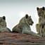 Ritsako Game Lodge