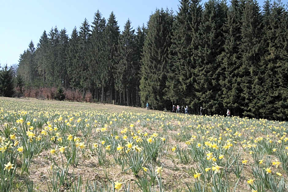 Boutique Hotel Restaurant Hollerather Hof