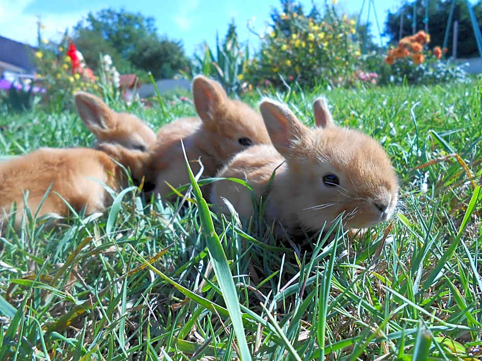 La Ferme des 3 Suissesses