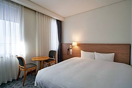 Double Room - Non-Smoking