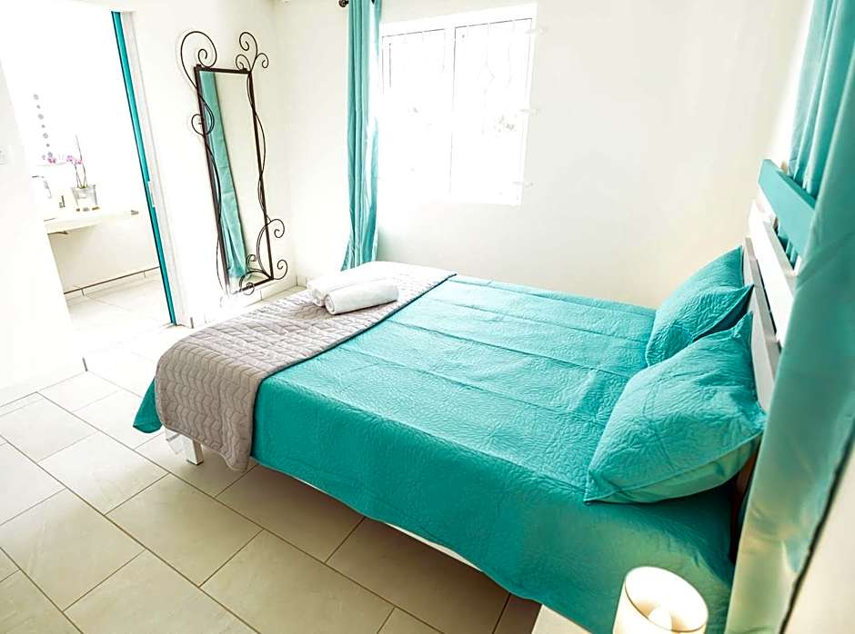 Abiki Mauritius with Tourism Authority Permit