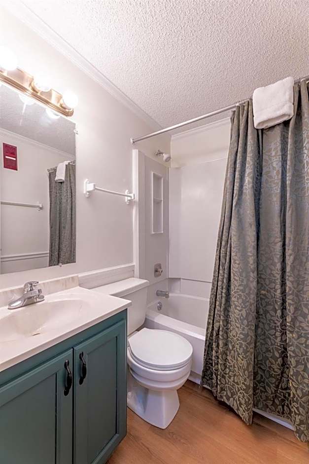 ML 294 Ski-InOut Slope Views Steps to Ballhooter Sleeps 6