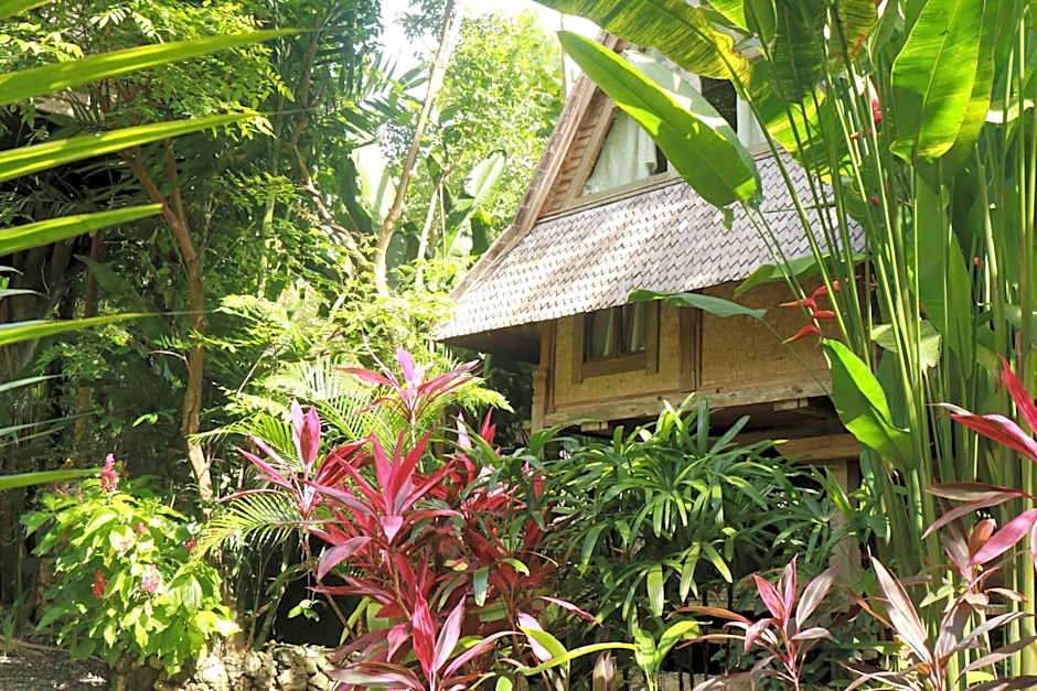 Roots Tree House