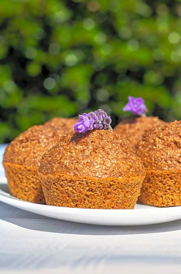 La Fontaine Guest House Hermanus