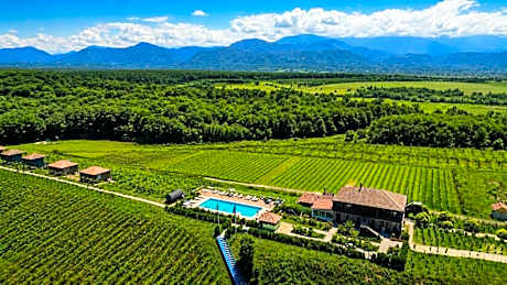 Chateau Vartsikhe