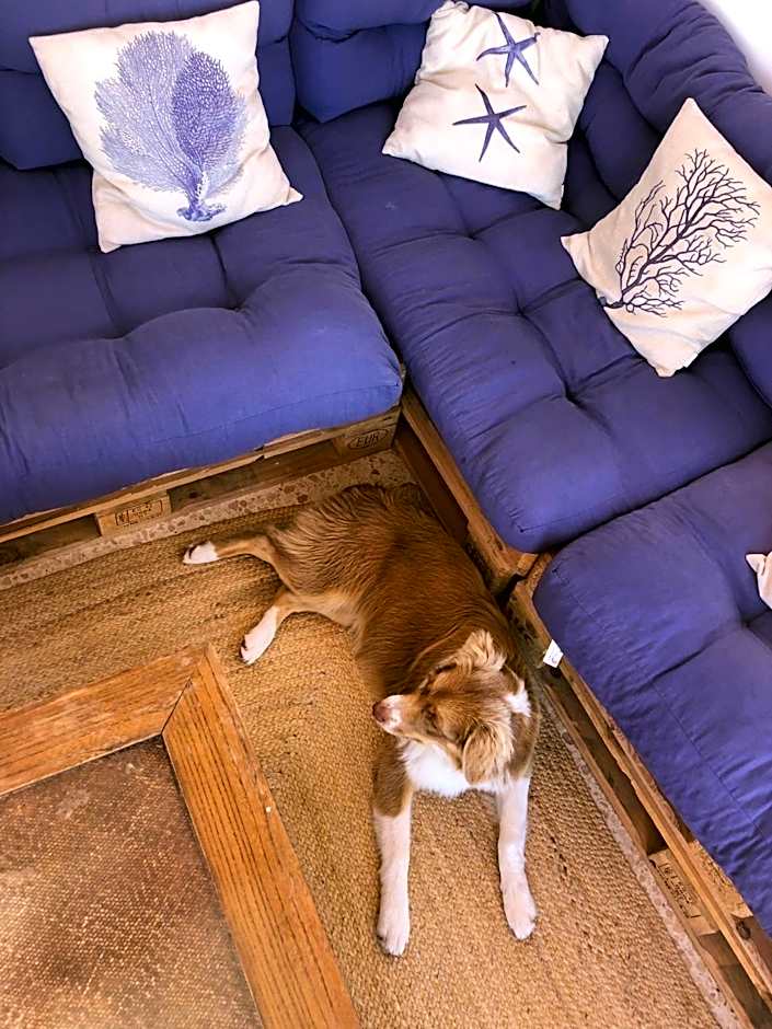 Hotel Leal - La Sirena