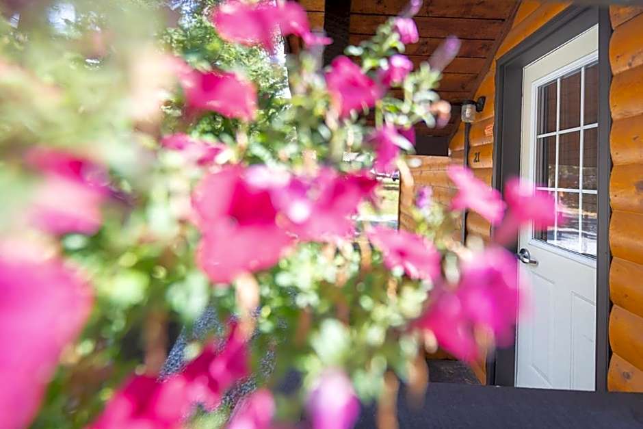 Castle Mountain Chalets