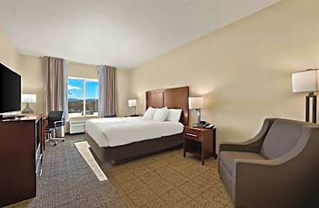 1 King Bed Nonsmoking