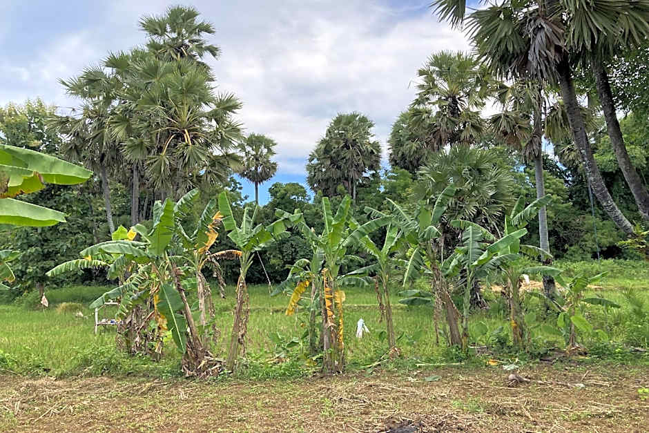 Hotel O Desa Wisata Dalegan