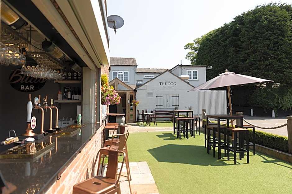 The Dog in Over Peover