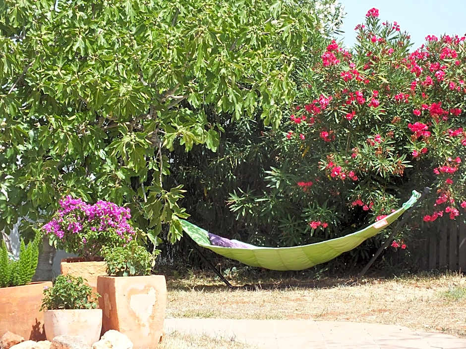 Buena Idea - Adults Only