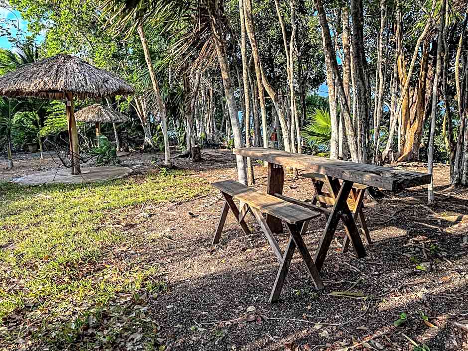 Bufo Alvarius Sanctuary Bacalar