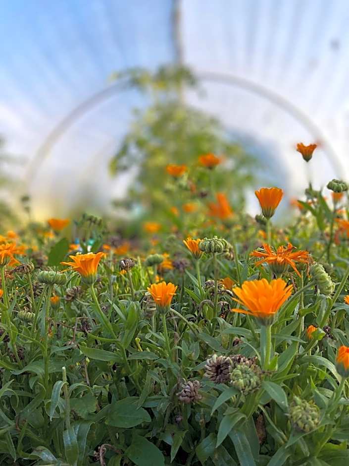 The Talbot at Knightwick