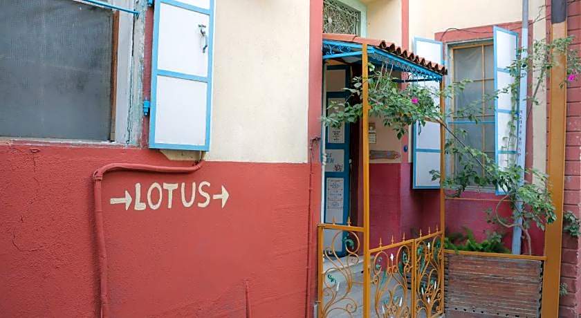 LOTUS GARDEN HOSTEL
