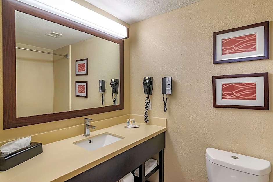 Comfort Inn & Suites Lithia Springs