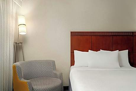 Room, 1 King Bed with Sofa bed (Mobility/Hearing Access, Roll-In Shwr)