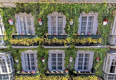 La Casa de las Flores