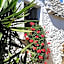 Trulli la casa di Rosa