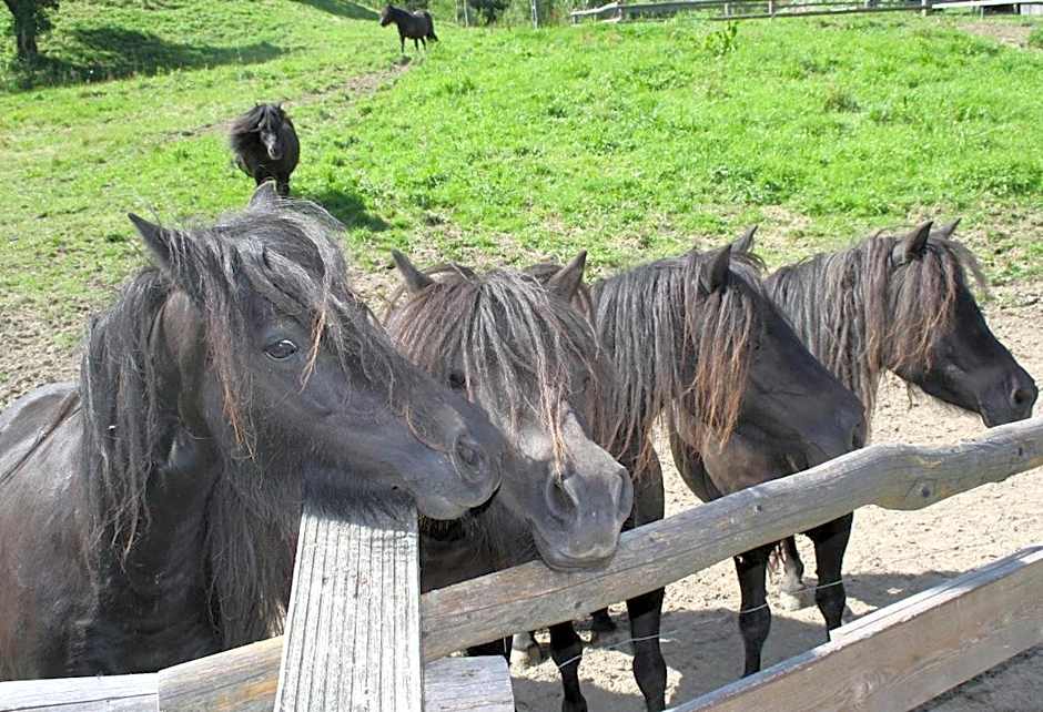 Rezydencja Leśny Dwór