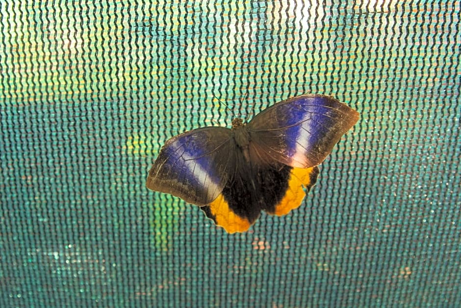 Paraiso Volcano Lodge