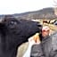 Graves Mountain Farm & Lodges