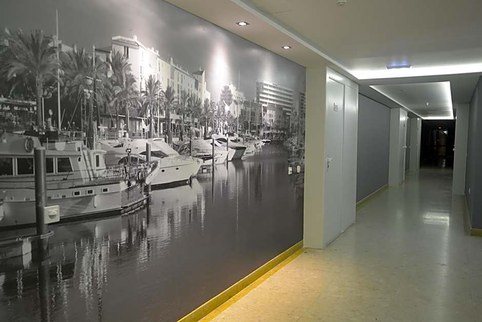 The Navigator - Olympus Marina